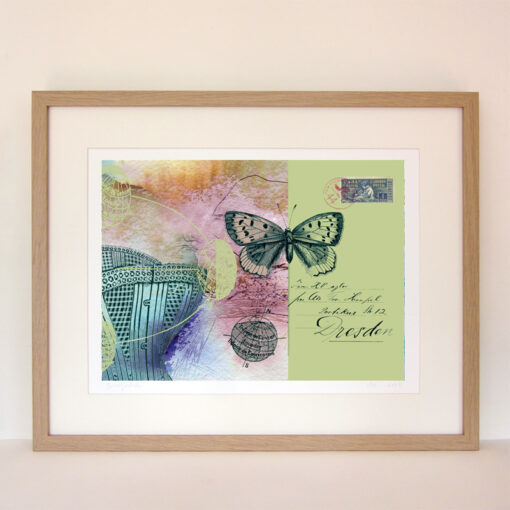 framed giclee print of a crset, a butterfly, maps of the tropics, handwriting and a vintage stamp